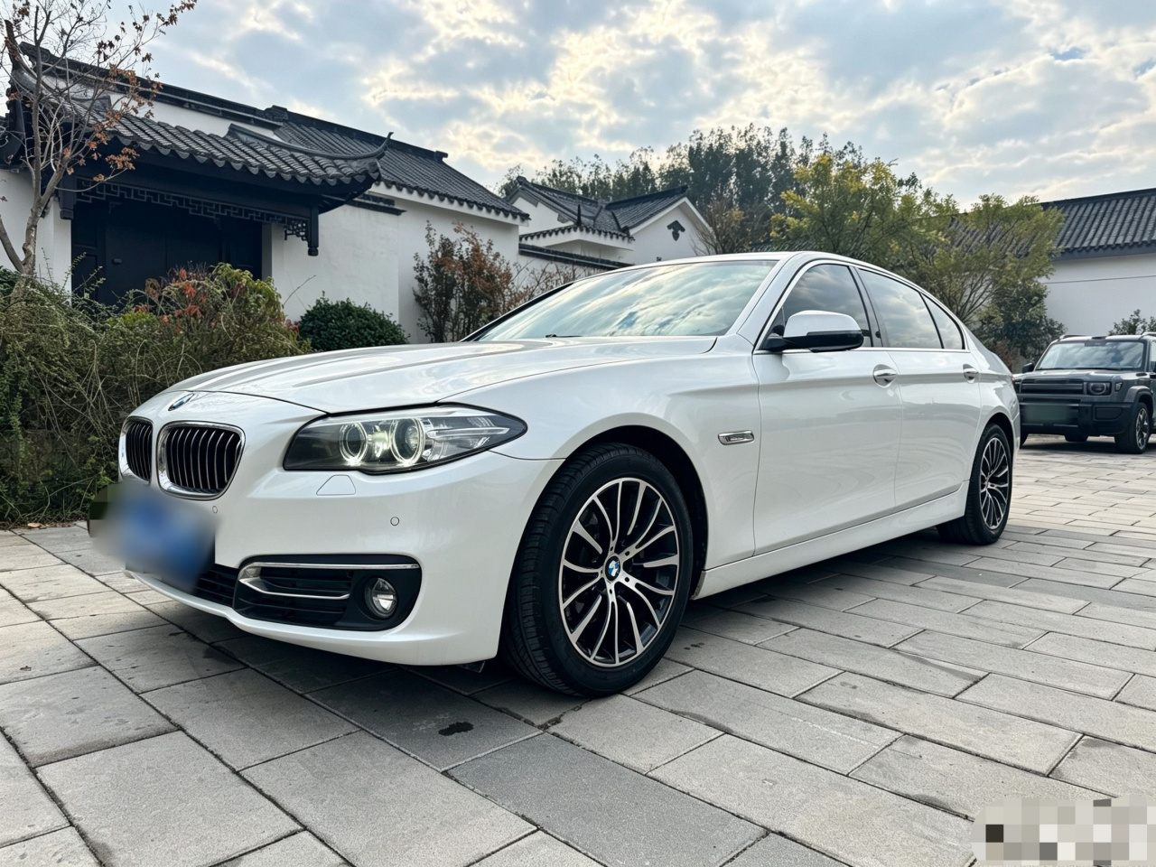 5 Series 2014 525Li Luxury Design Package