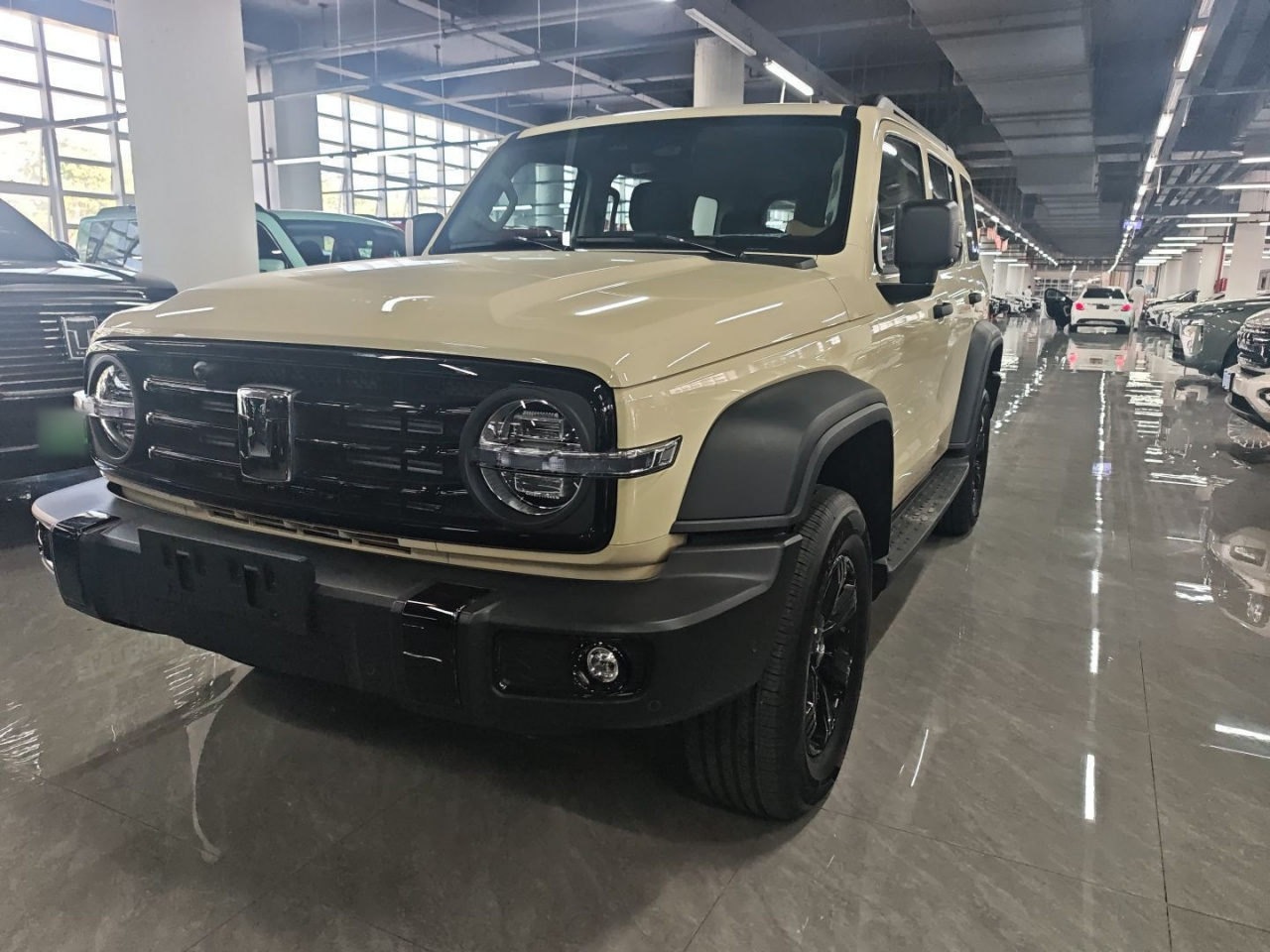 300 2025 2.0T Petrol Conqueror