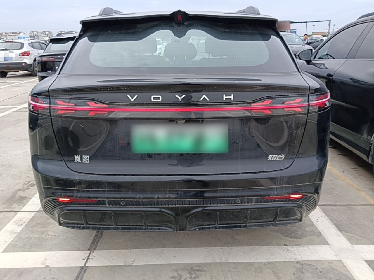 Voyah 2024 AWD photo 3