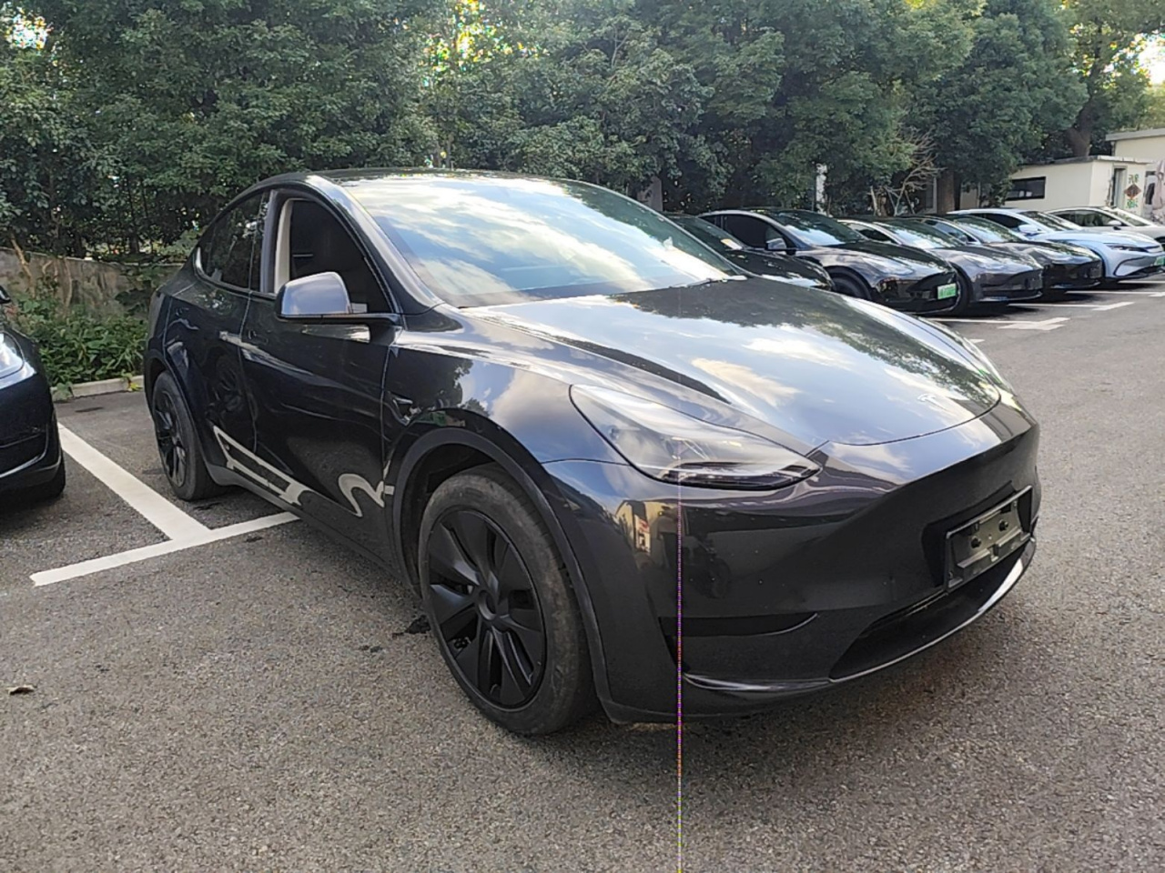 Model Y 2024 RWD photo 5