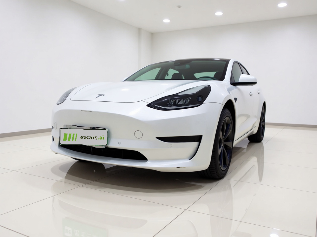 Model 3 2021 Standard Range RWD Upgraded 3D6