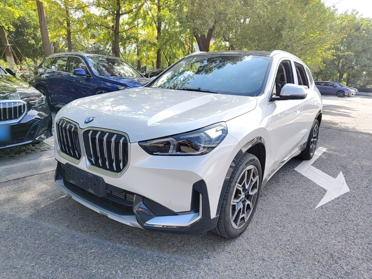 X1 2025 sDrive25Li X Design Package