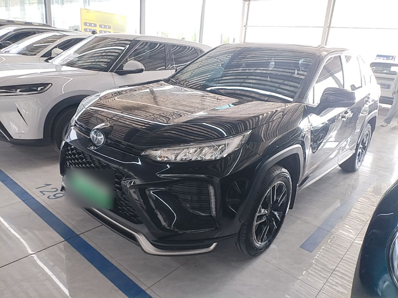 Wildlander EV 2021 Performance 2.5L RWD Power