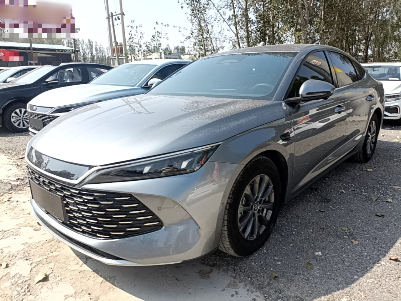 Qin L 2025 DM-i ADAS 80KM Leading