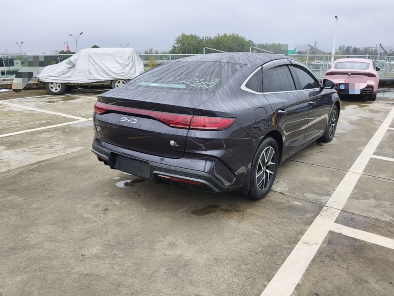 Qin L 2024 DM-i 120KM Leading photo 4