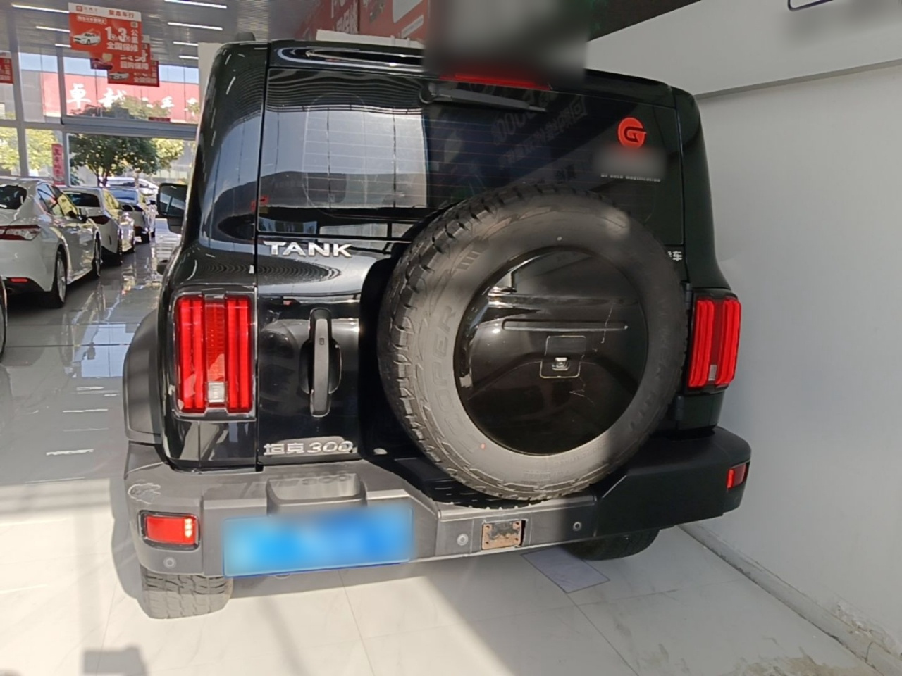 300 2023 Off-road 2.0T Conqueror photo 3