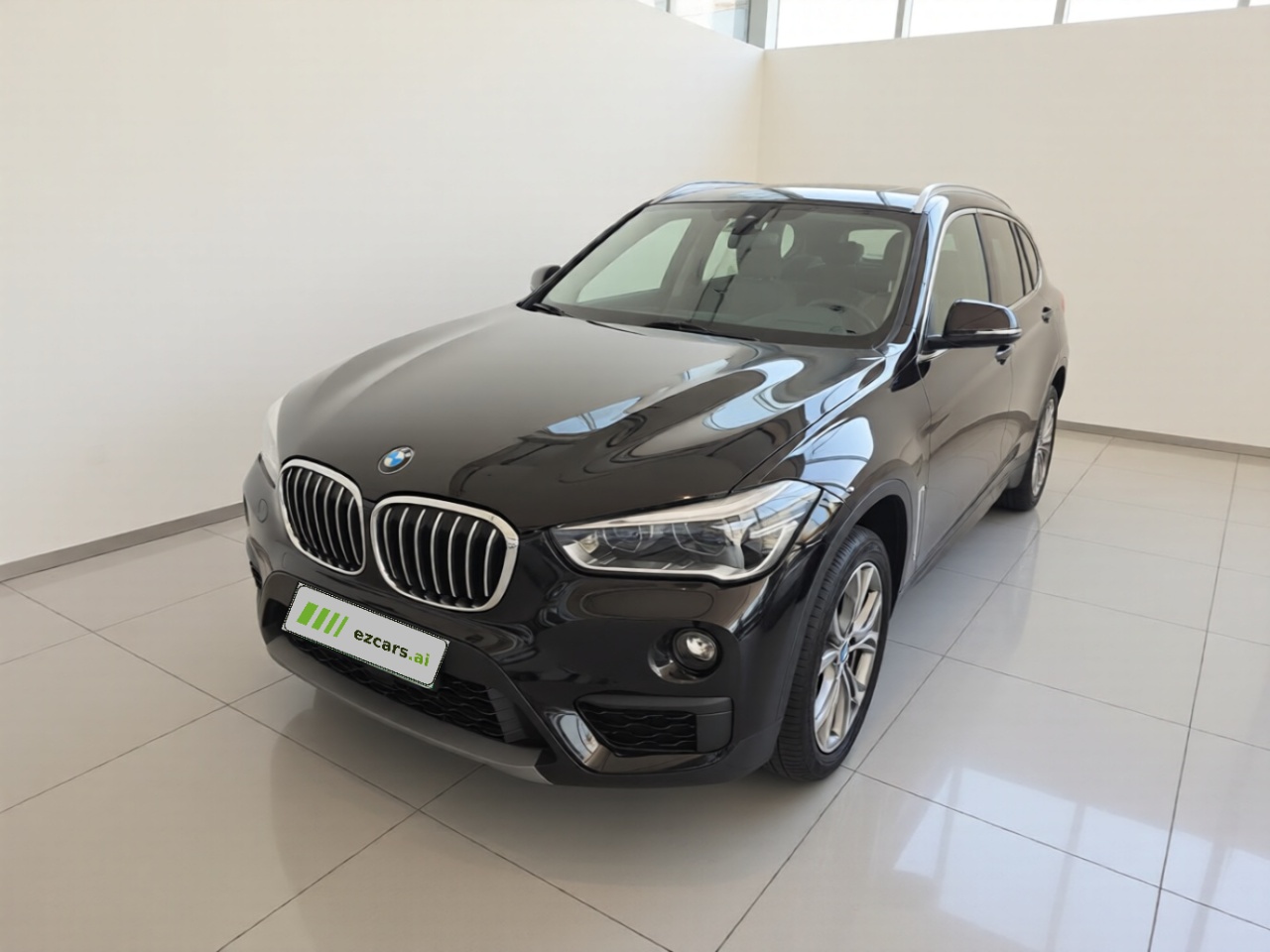 X1 2019 sDrive20Li Leading