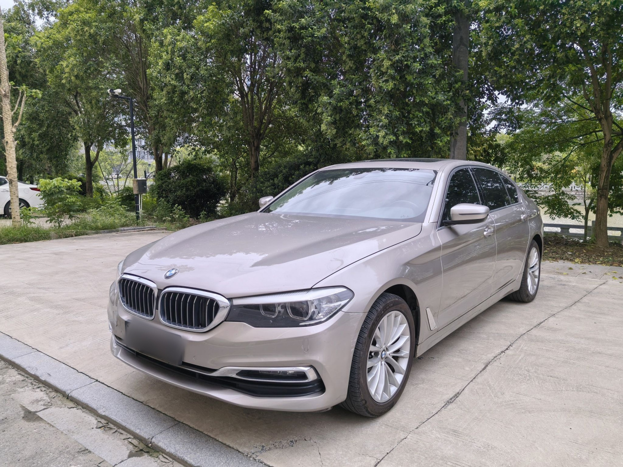 5 Series 2019 525Li Luxury