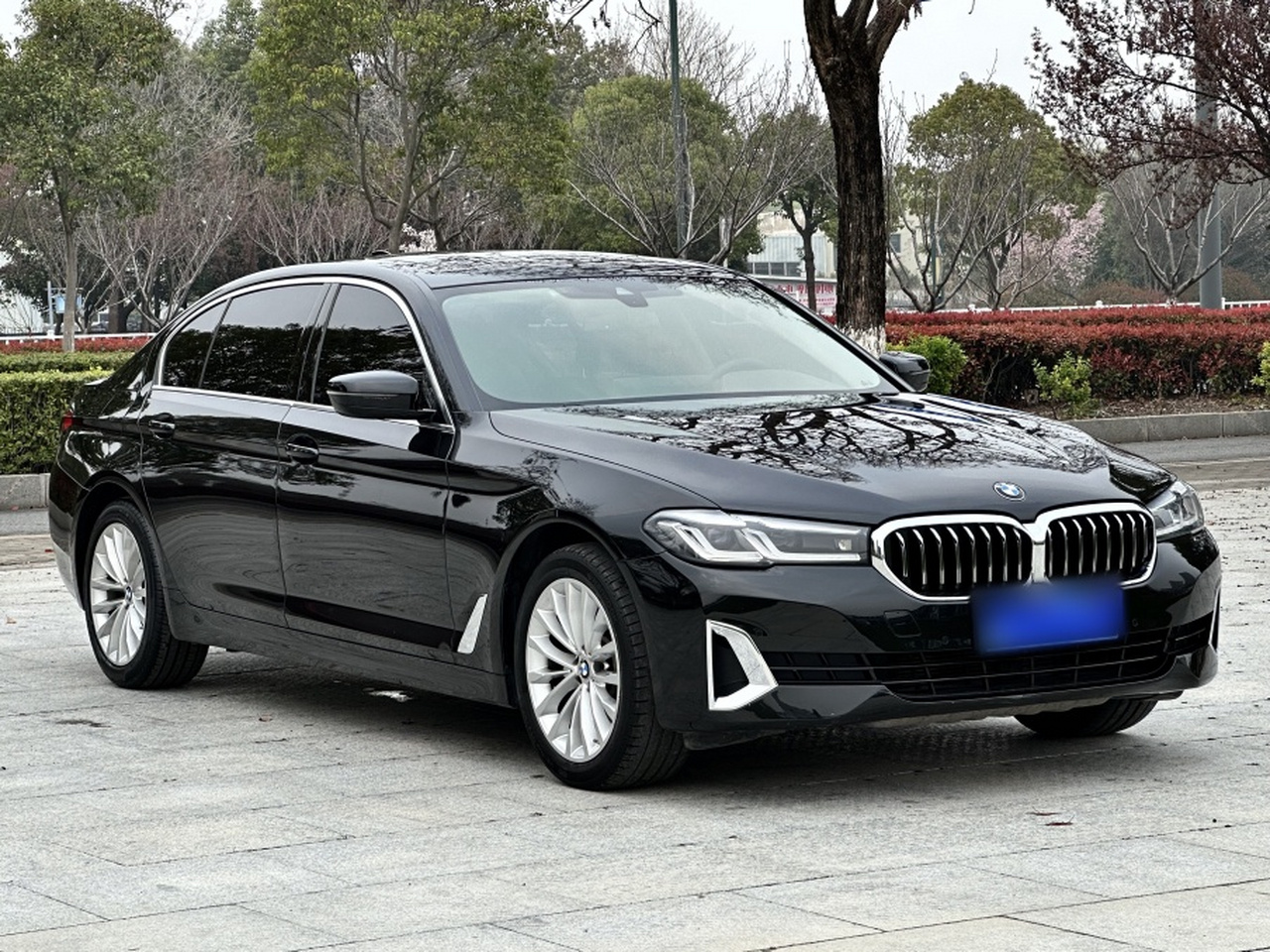 5 Series 2021 525Li Luxury photo 3