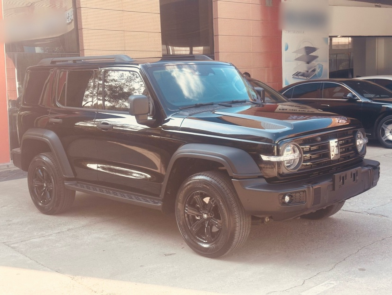 300 2025 2.0T Petrol Conqueror photo 3