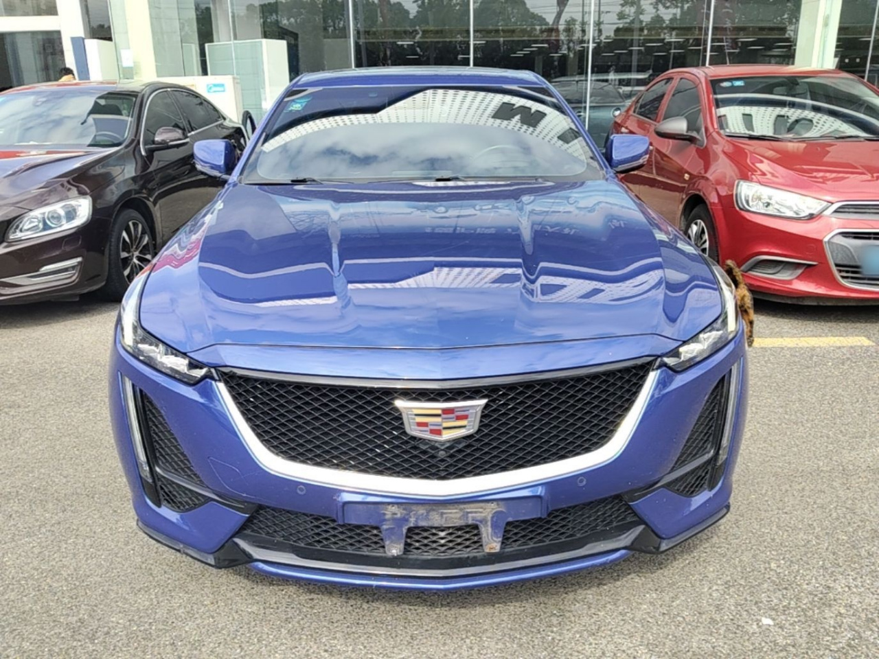 CT5 2020 28T Platinum Sport photo 2
