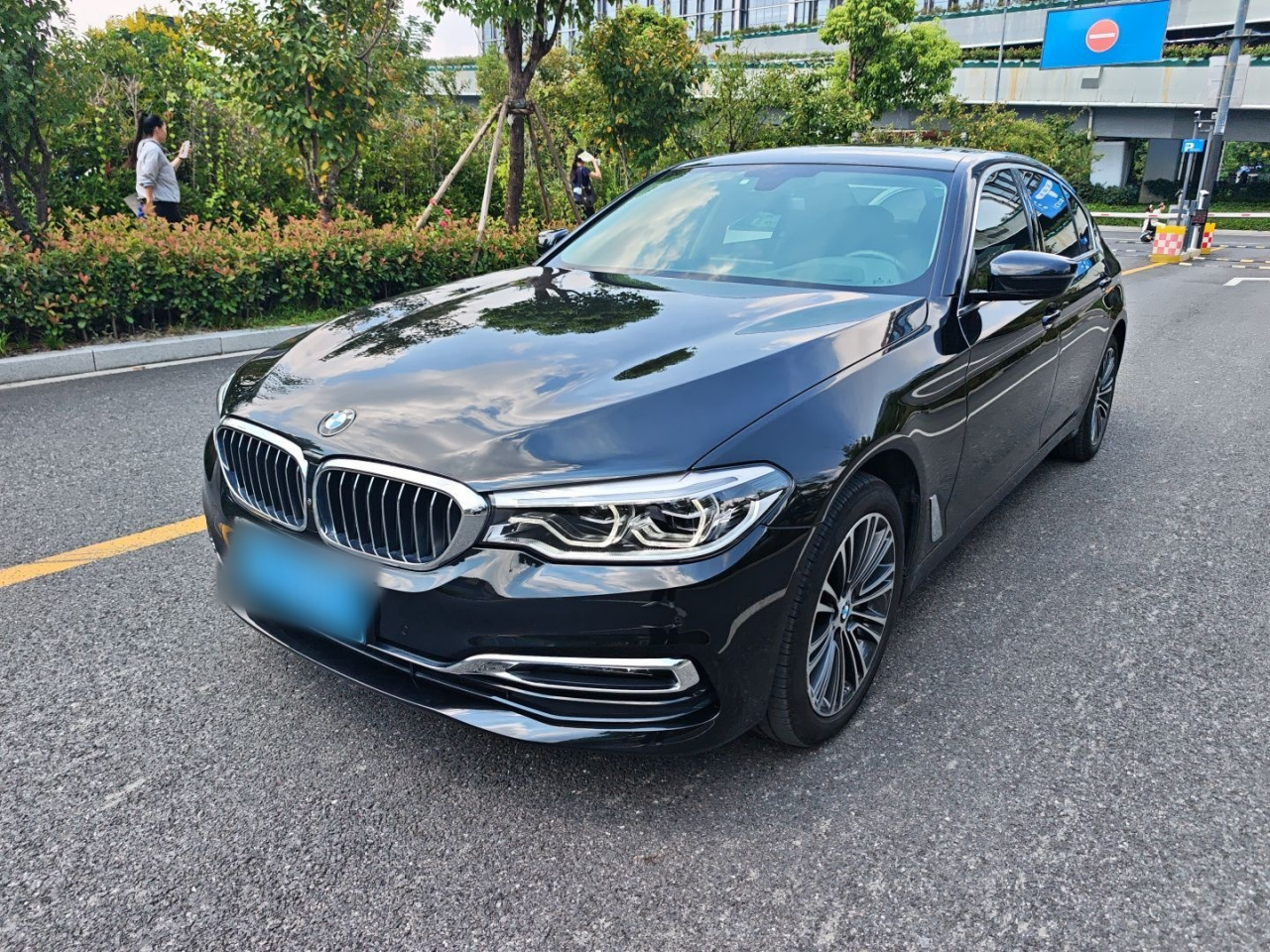 5 Series 2019 530Li Exclusive Luxury