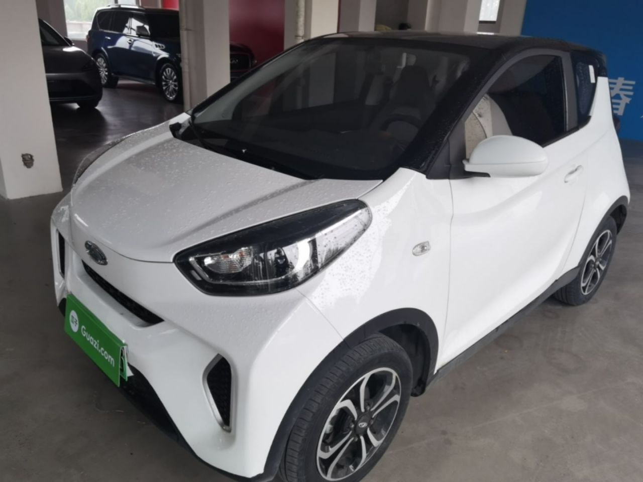QQ Little Ant 2021 15 NCM