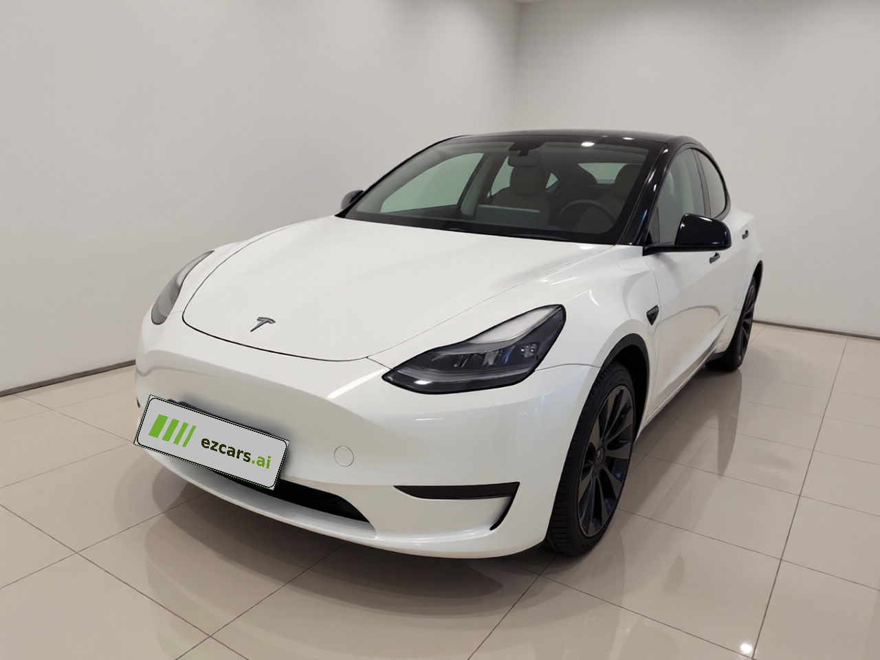 Model Y 2021 Standard Range RWD