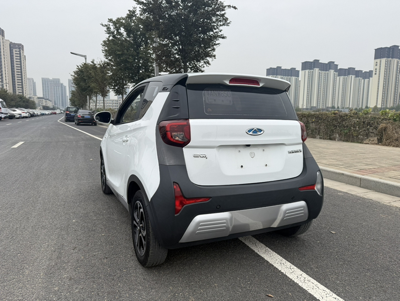QQ Little Ant 2021 15 LFP photo 5