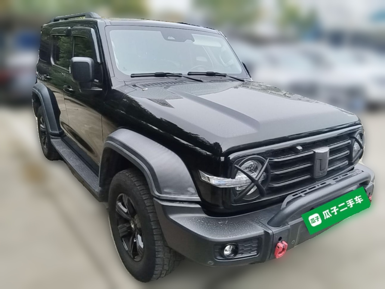 300 2021 Off-road 2.0T photo 3