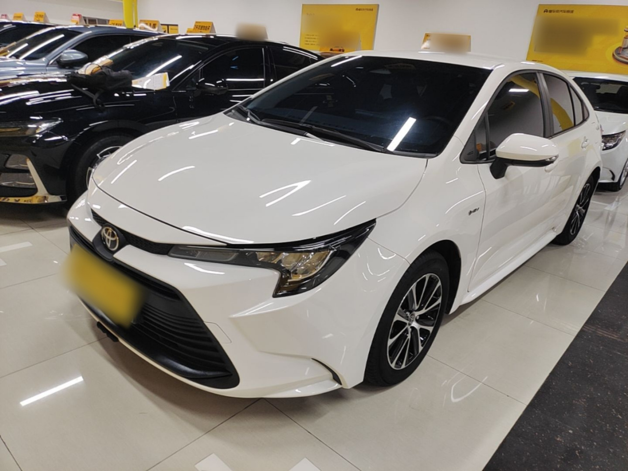 Levin 2024 Smart Hybrid 1.8L Leading