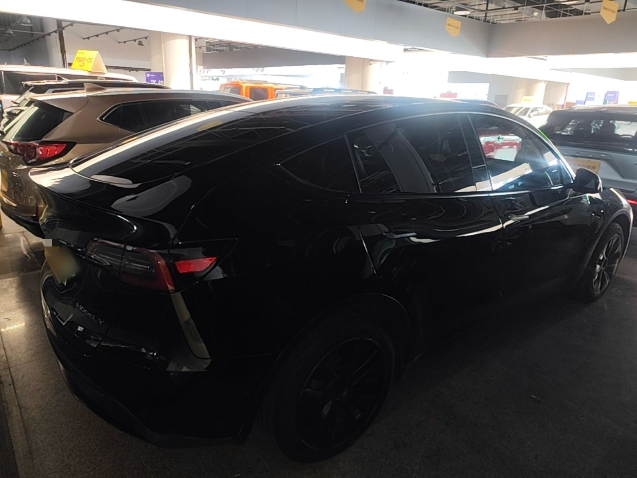 Model Y 2023 RWD photo 4