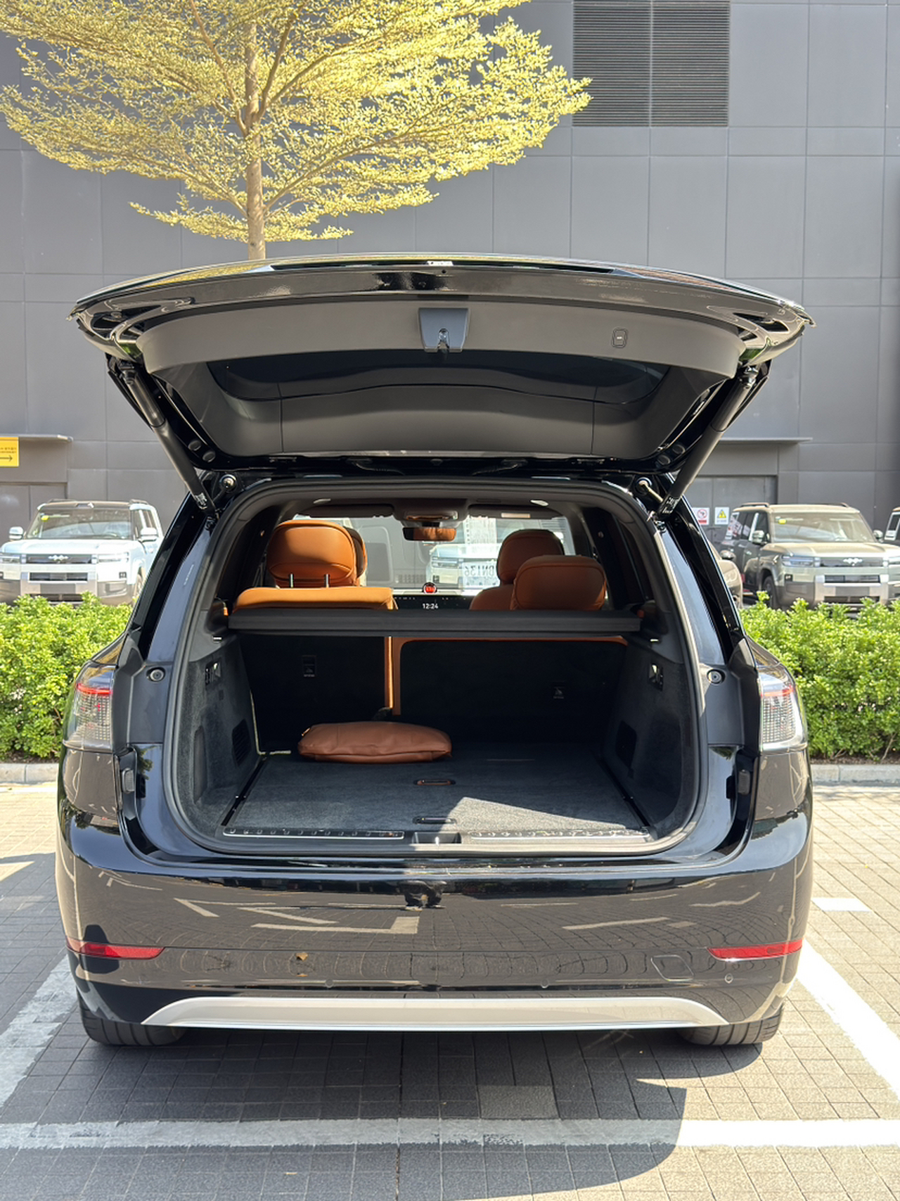 HIMA AITO M9 2024 EREV Max 42kWh 5-Seater photo 3