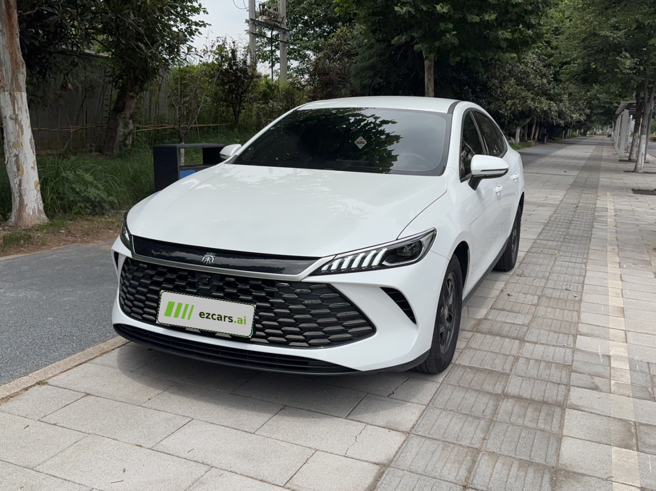 Qin PLUS 2025 DM-i ADAS 55KM Leading