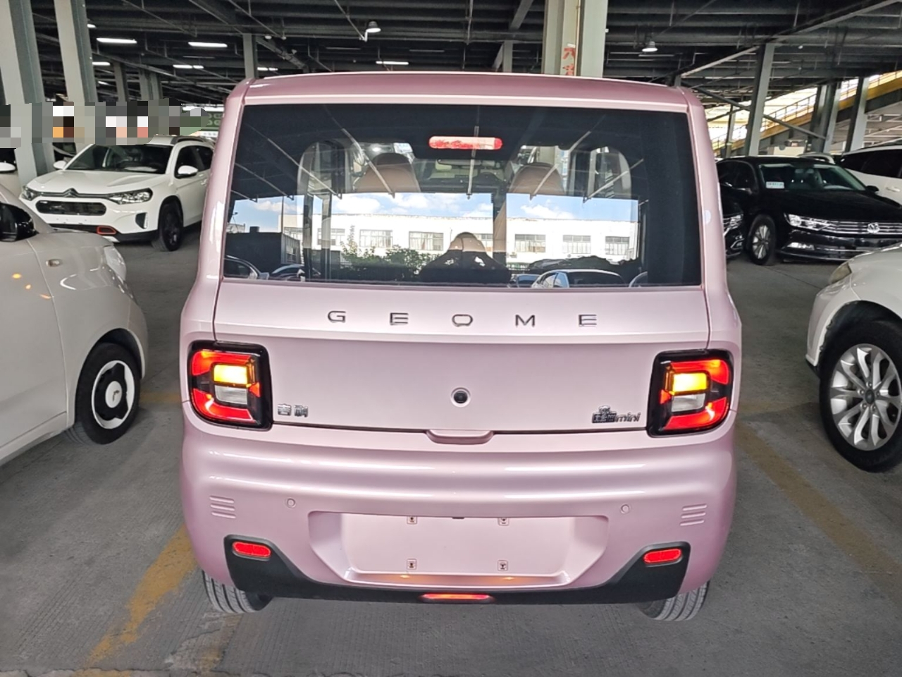 2023 Panda mini 200km Endurance Bear photo 4
