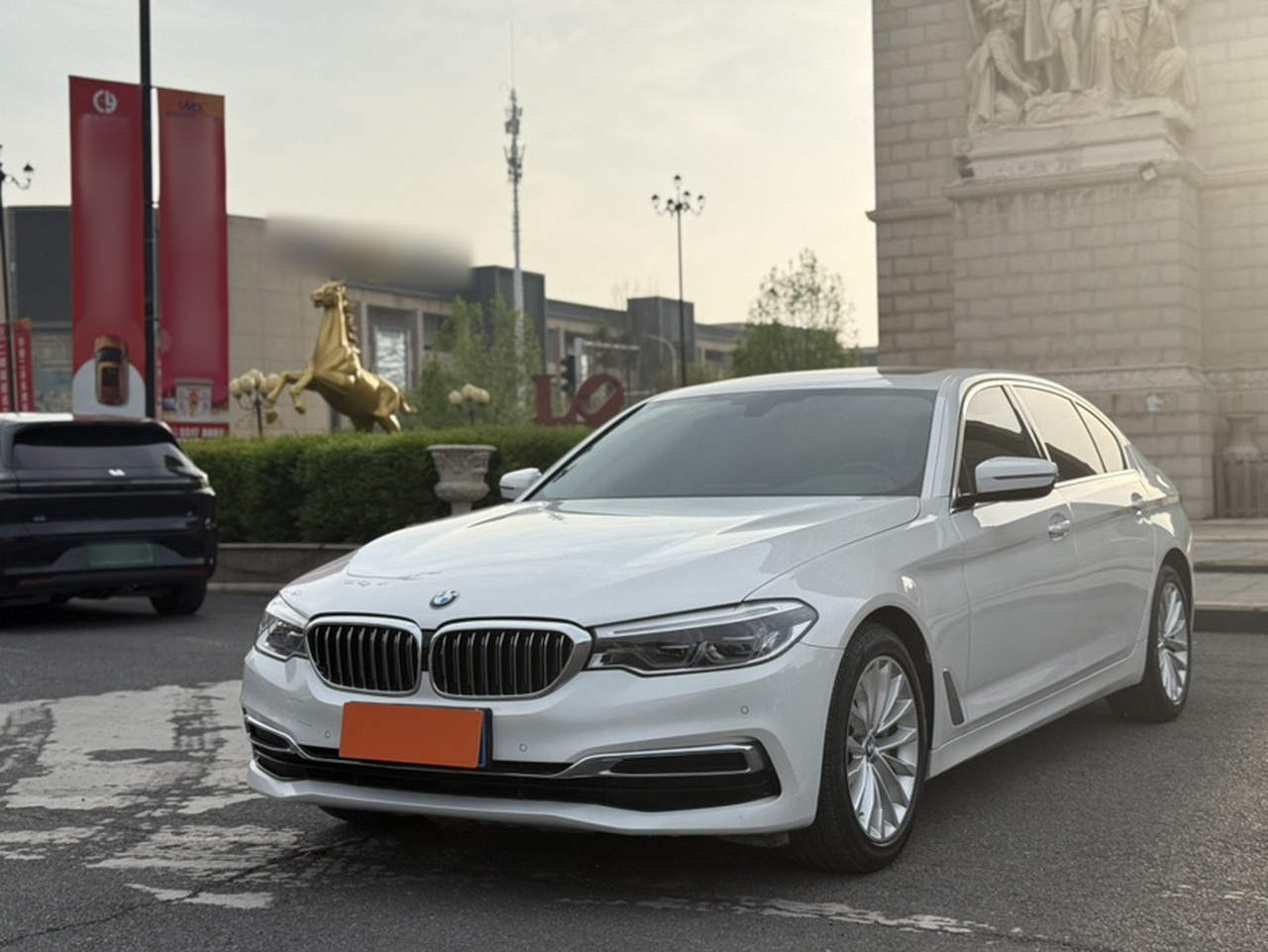 5 Series 2020 530Li Leading Luxury