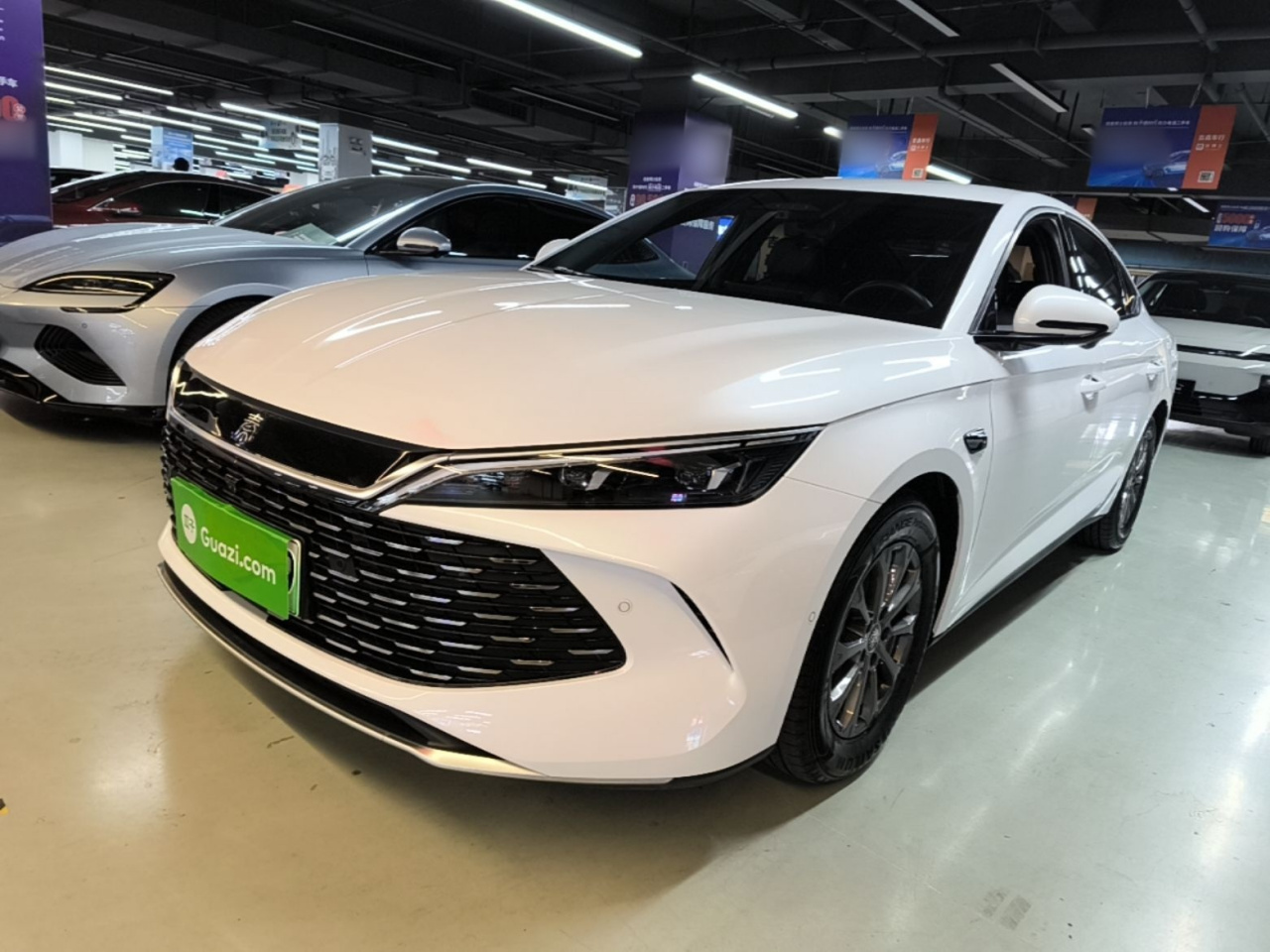 Qin L 2025 DM-i ADAS 80KM Leading