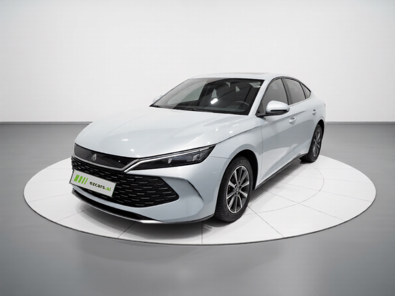 Qin L 2024 DM-i 80KM Leading