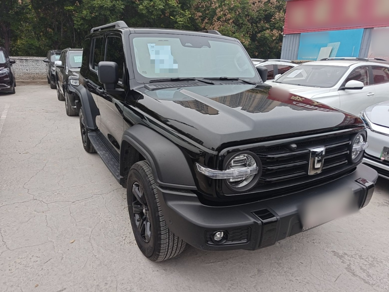 300 2025 2.0T Petrol Conqueror photo 3