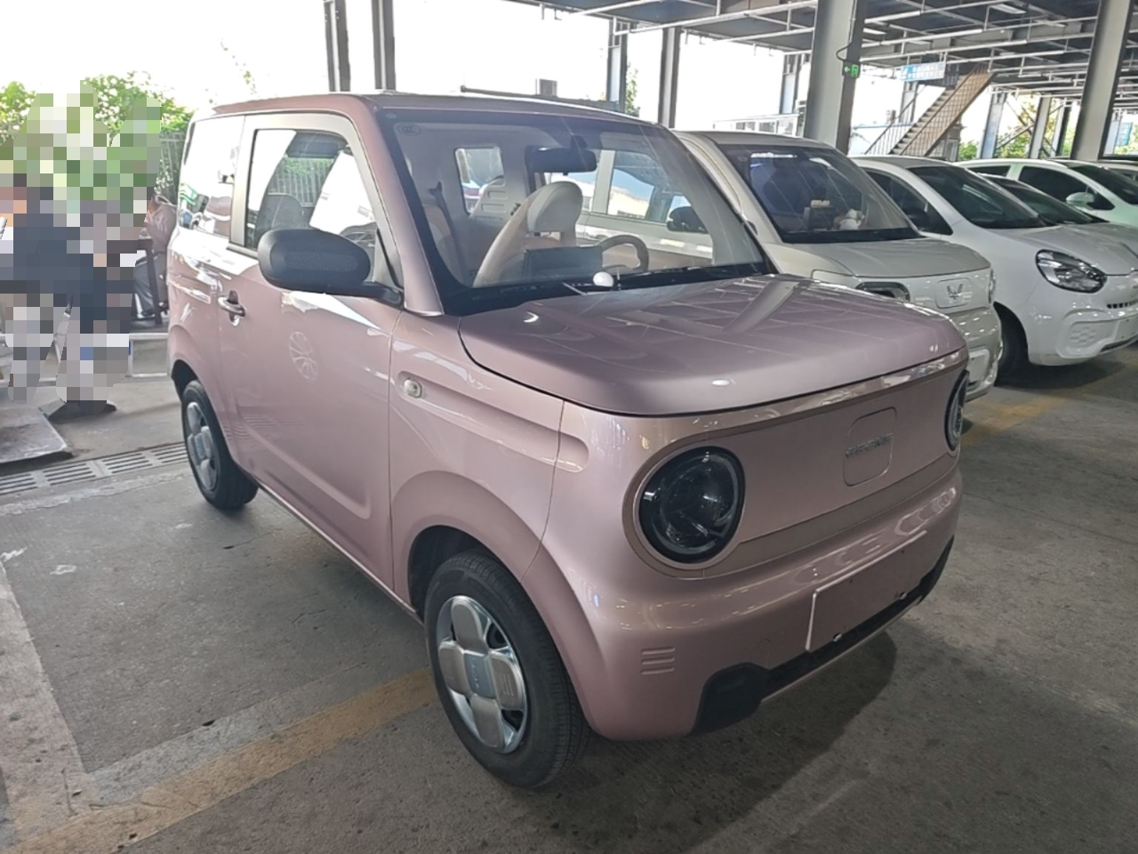2023 Panda mini 200km Endurance Bear photo 3