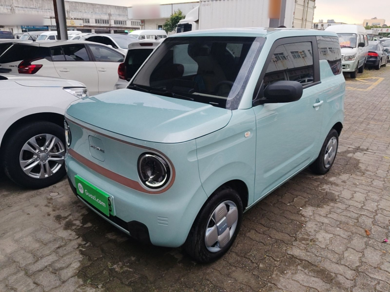 2023 Panda mini 200km Endurance Bear