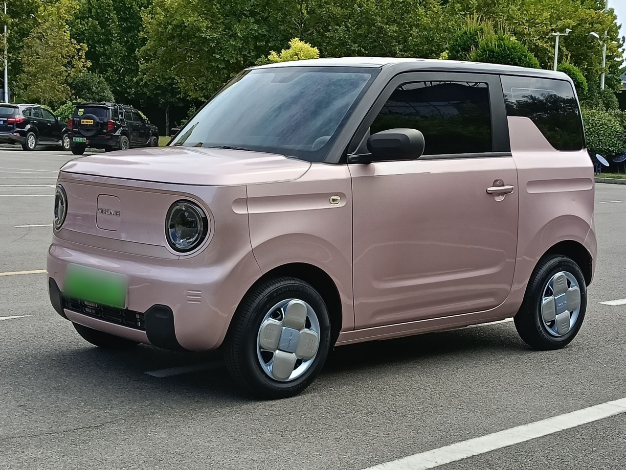 2023 Panda mini 200km Endurance Bear