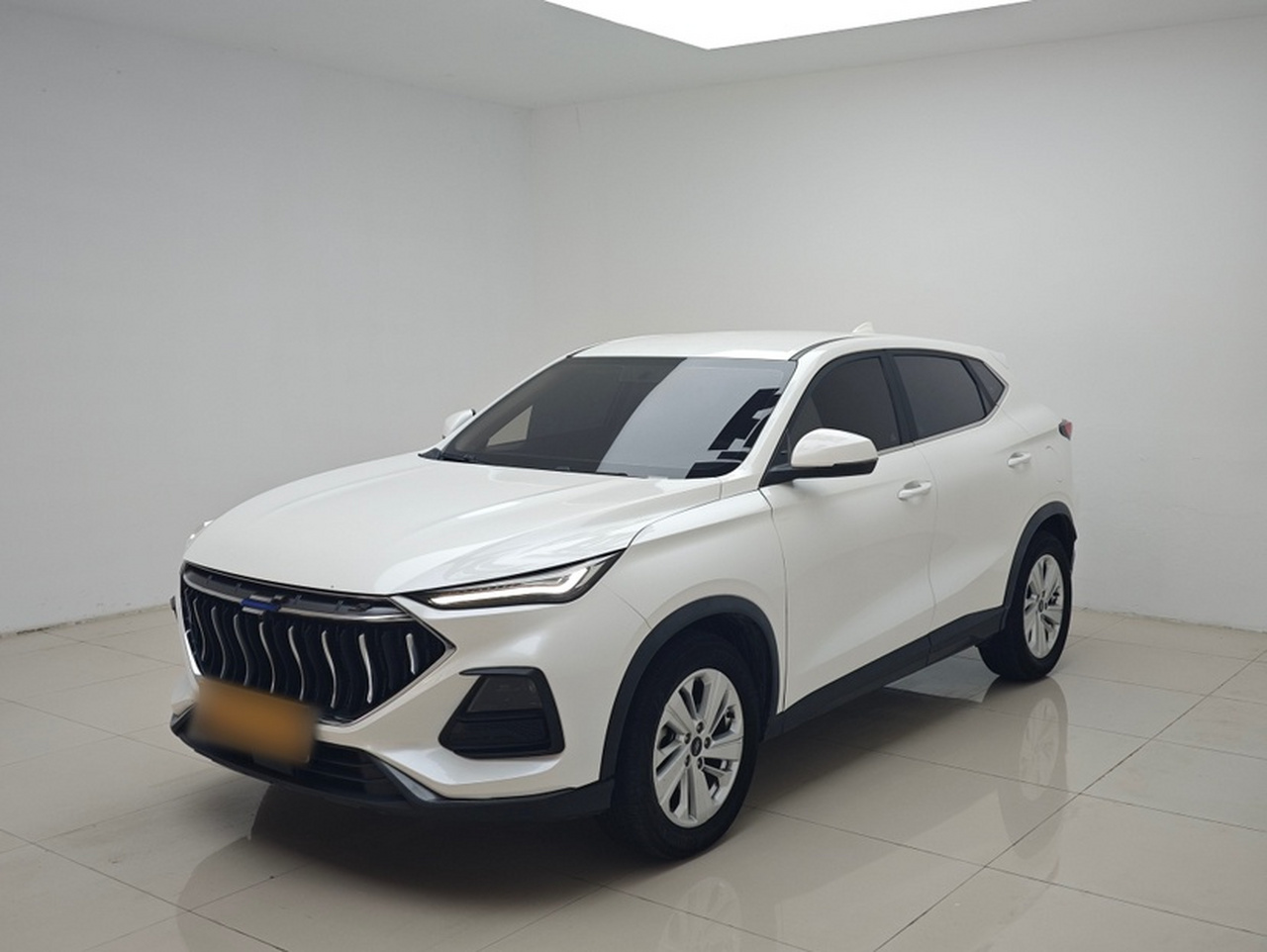 X5 2021 1.6L CVT Luxury photo 2