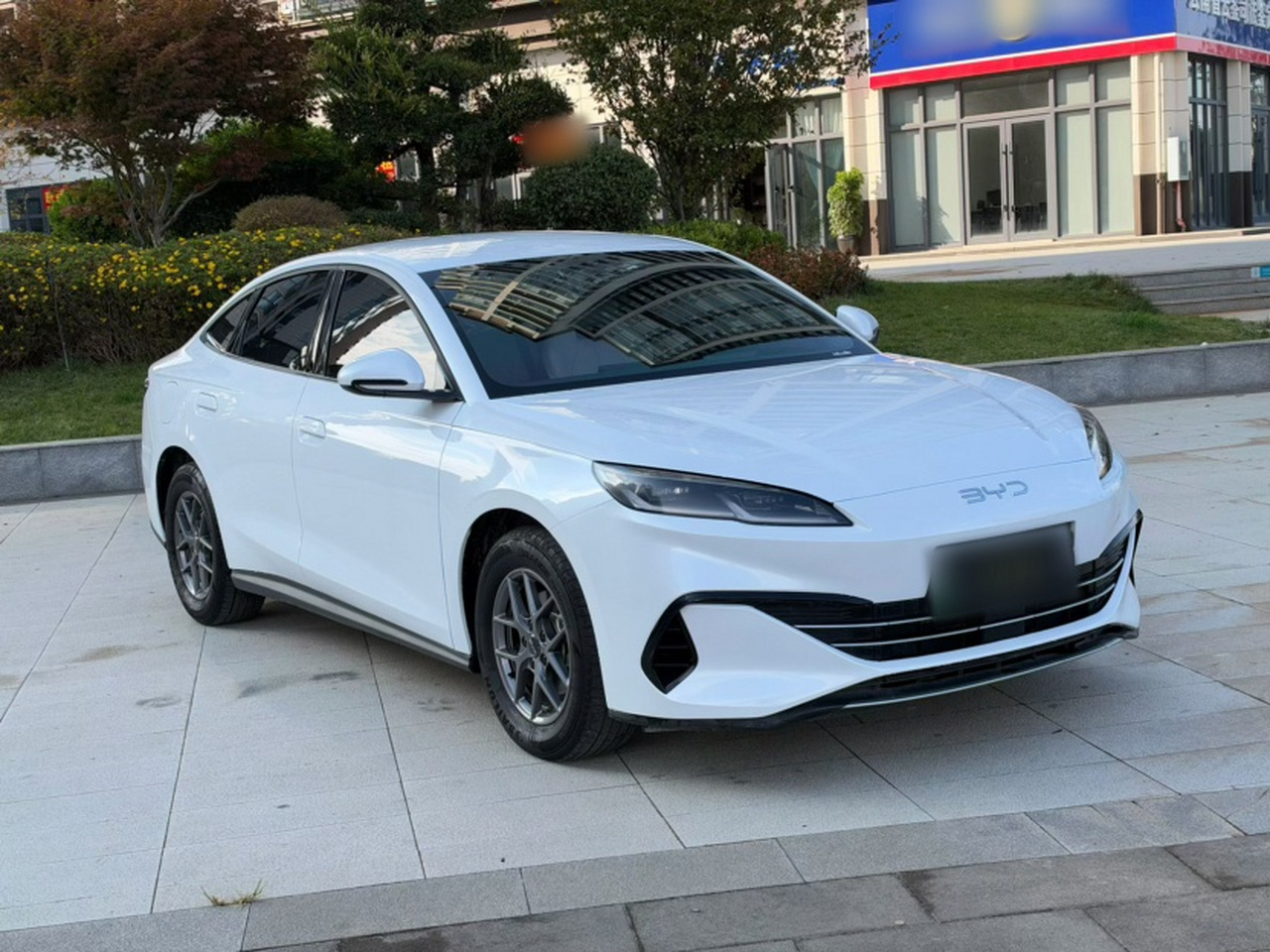 Seal 06 EV 2024 DM-i 80KM Luxury photo 4