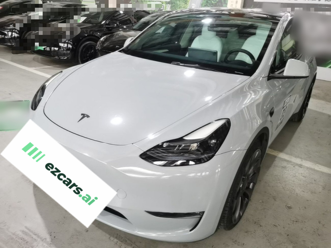 Model Y 2021 Performance AWD