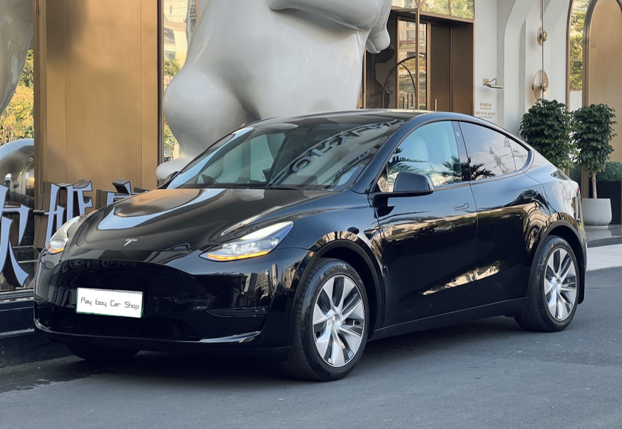 Model Y 2021 Standard Range RWD