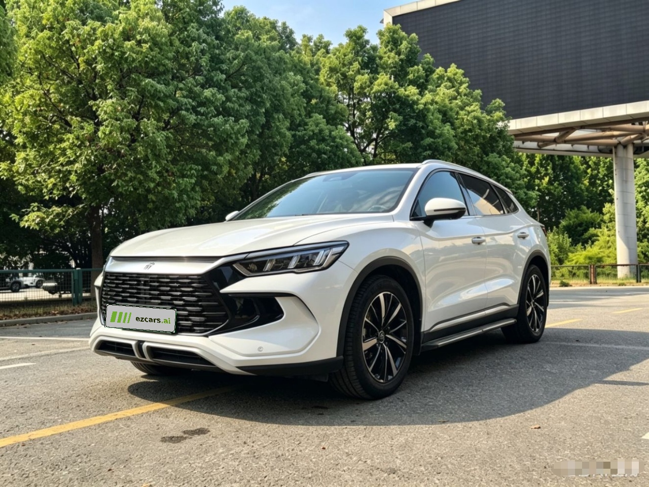 Song Pro EV 2024 Honor DM-i 71KM Pilot