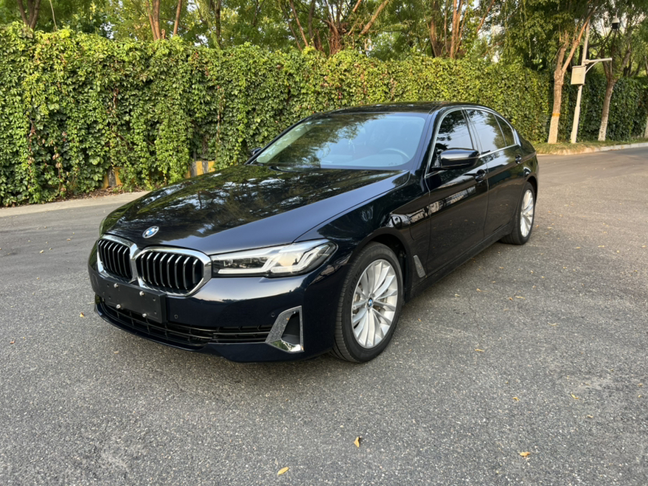 5 Series EV 2021 535Le Luxury