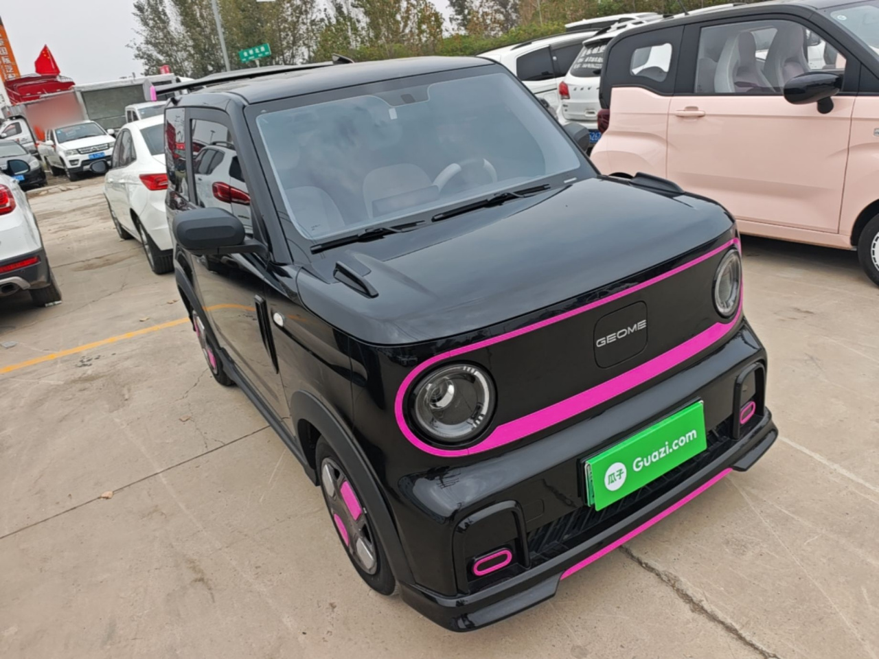 2025 210km Panda photo 3