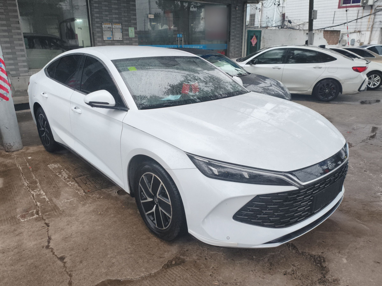 Qin L 2024 DM-i 80KM photo 2