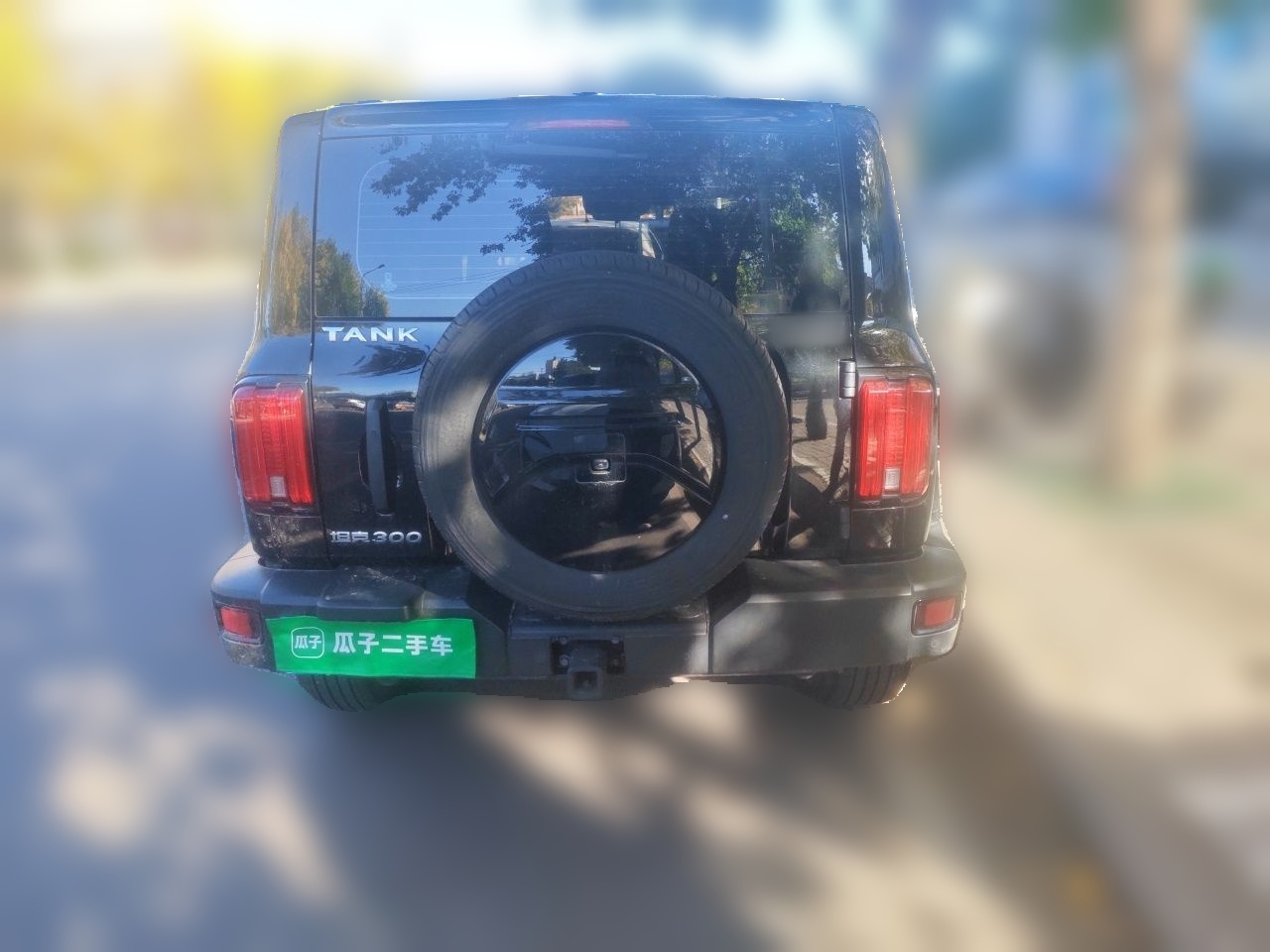 300 2023 Off-road 2.0T Conqueror photo 5