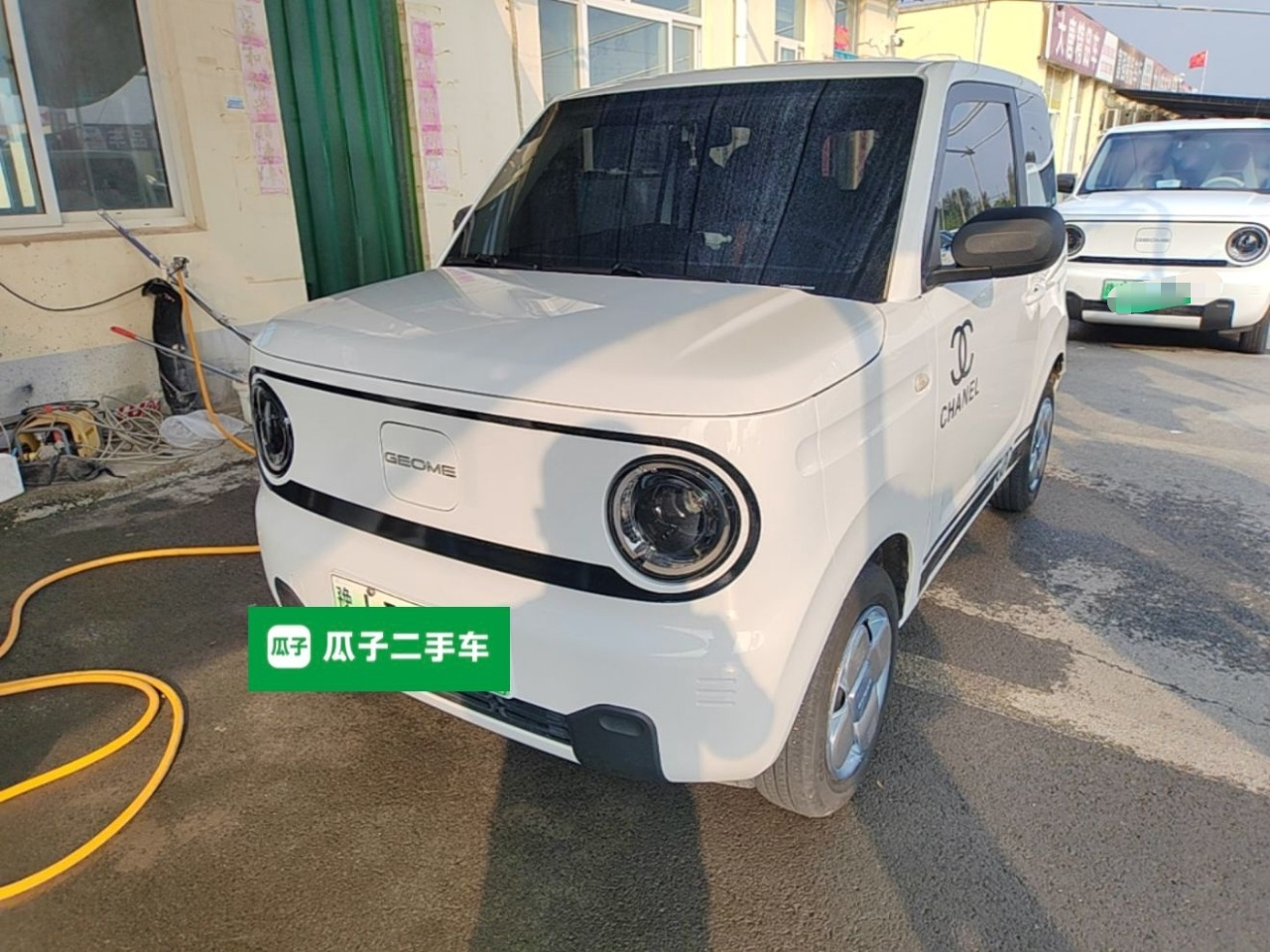 2024 Panda mini 200km Endurance Bear