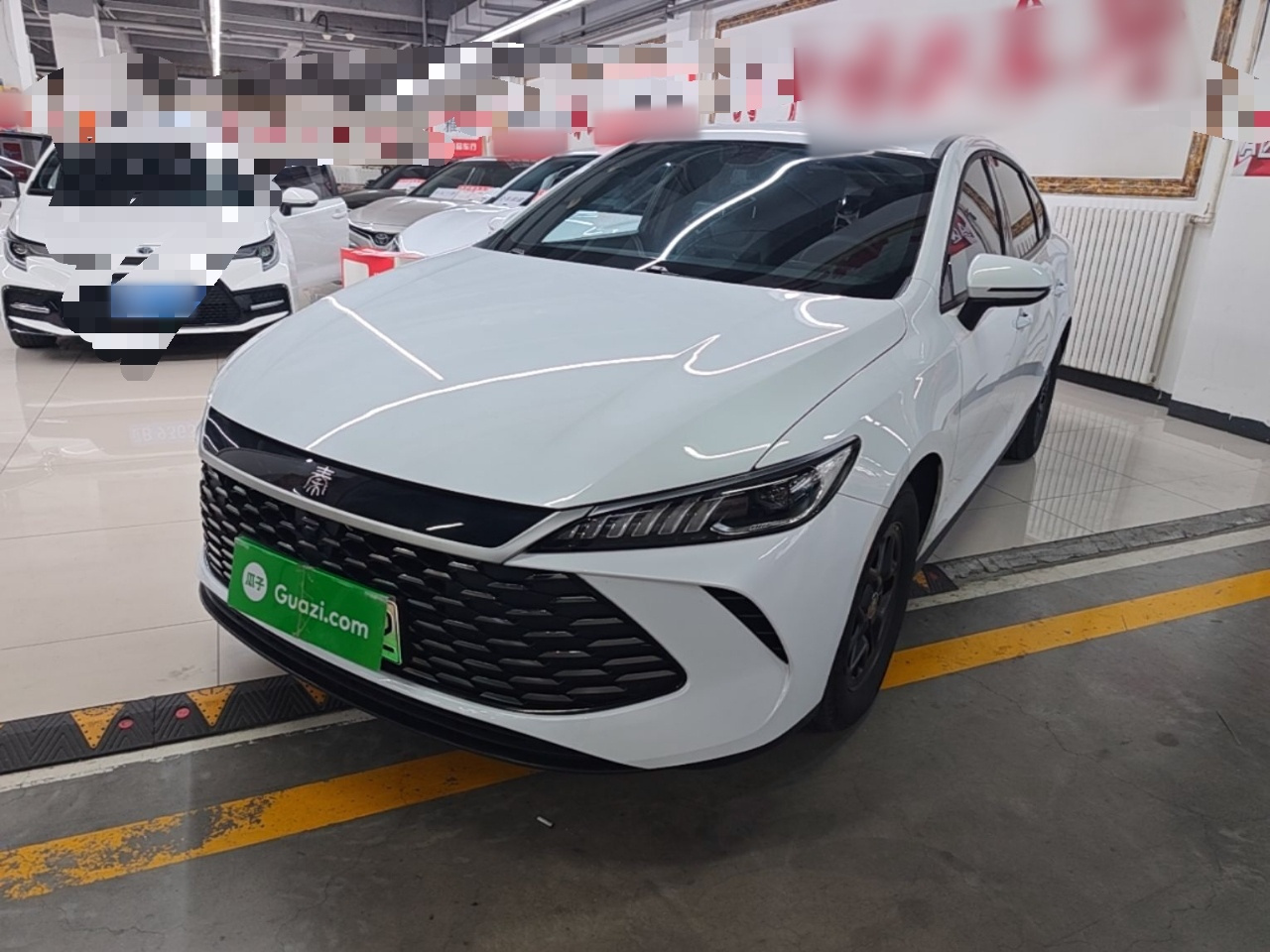 Qin PLUS 2025 DM-i ADAS 55KM Leading