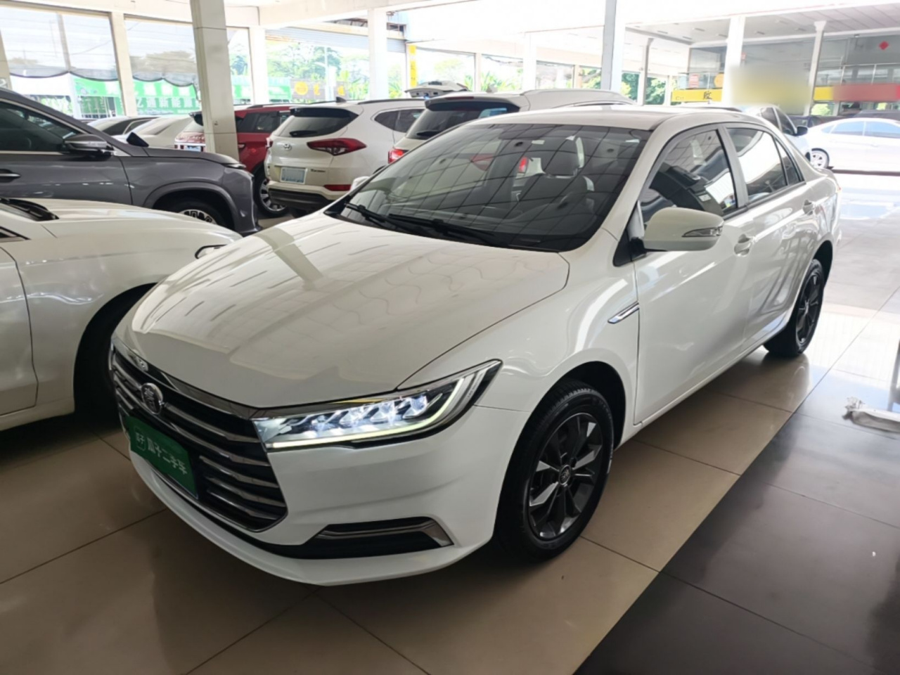 Qin 2019 1.5L AT Luxury