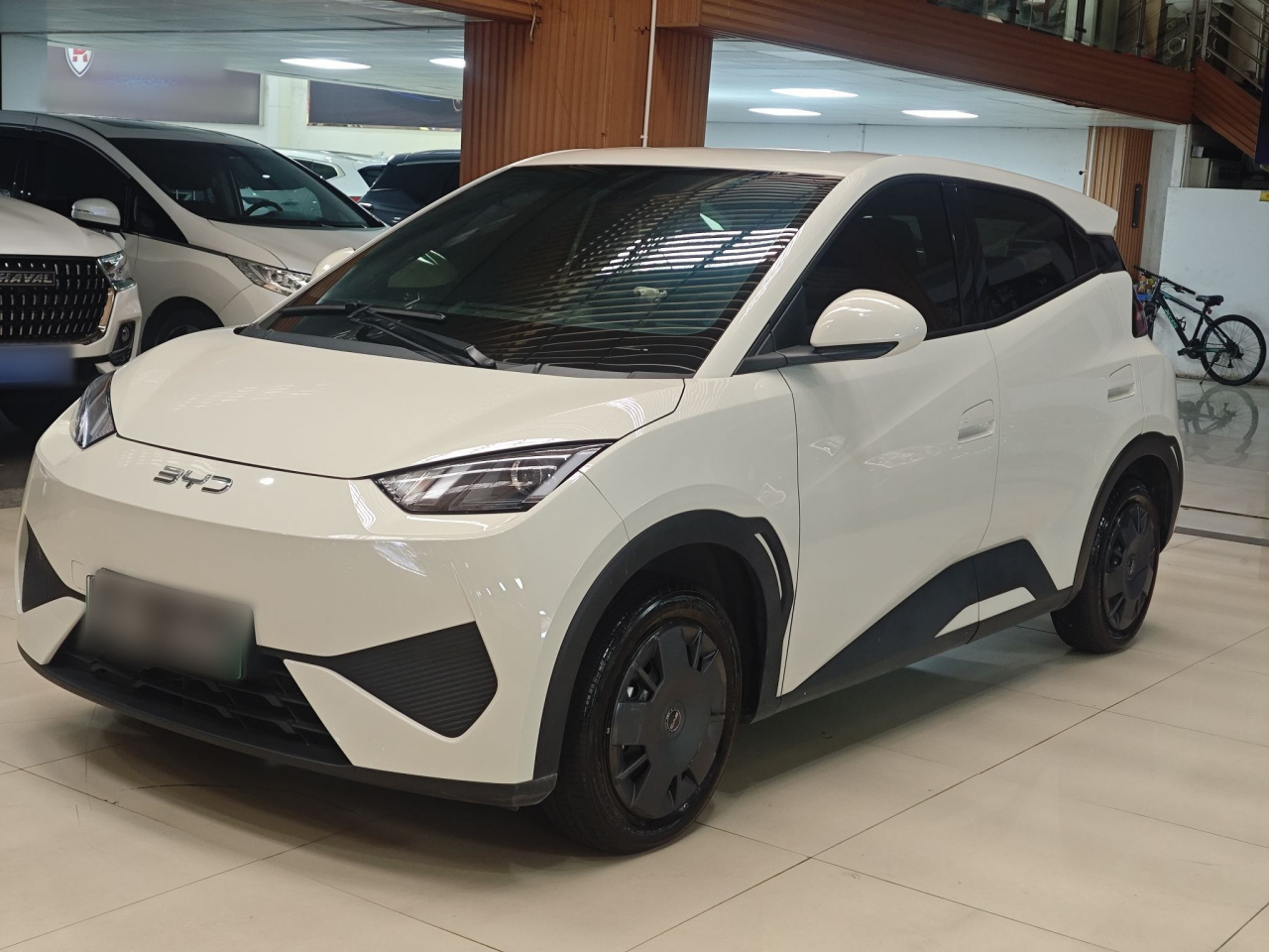Seagull 2025 ADAS 305km
