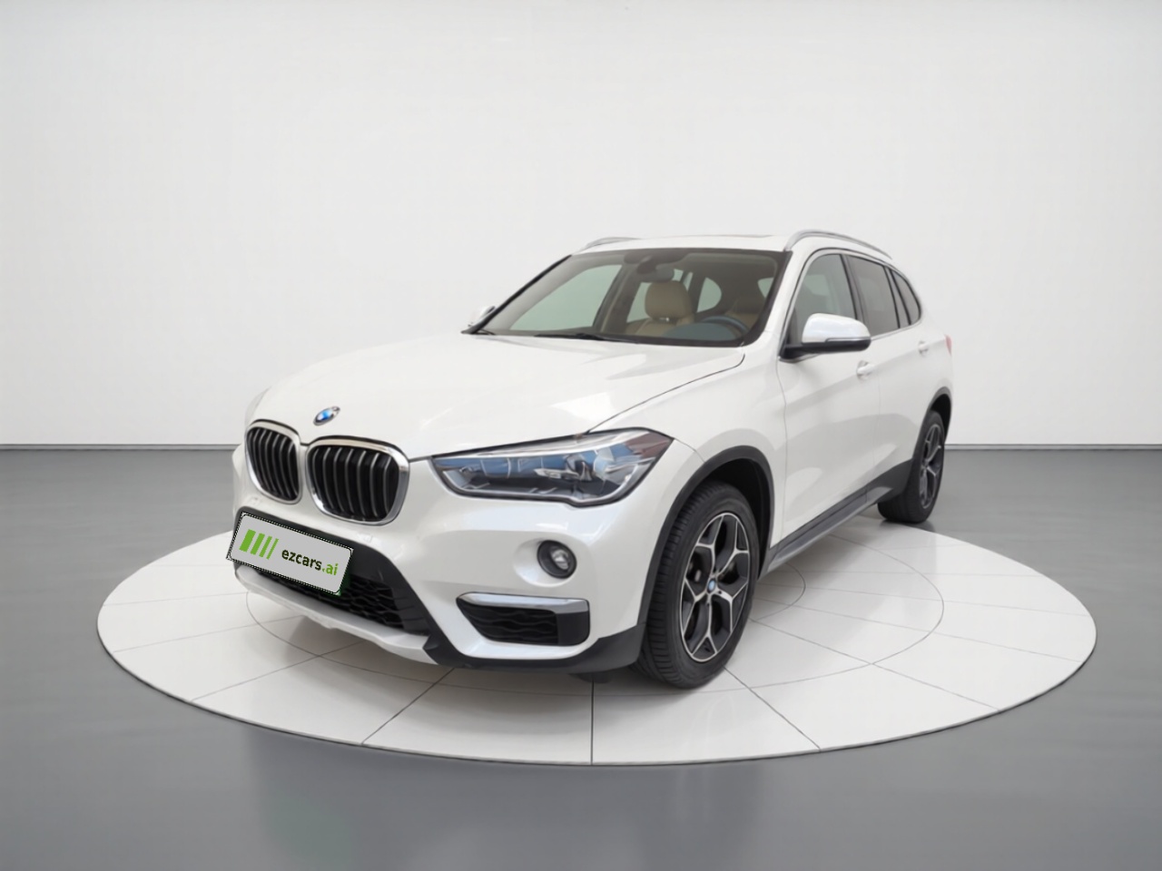 X1 2018 xDrive20Li Exclusive