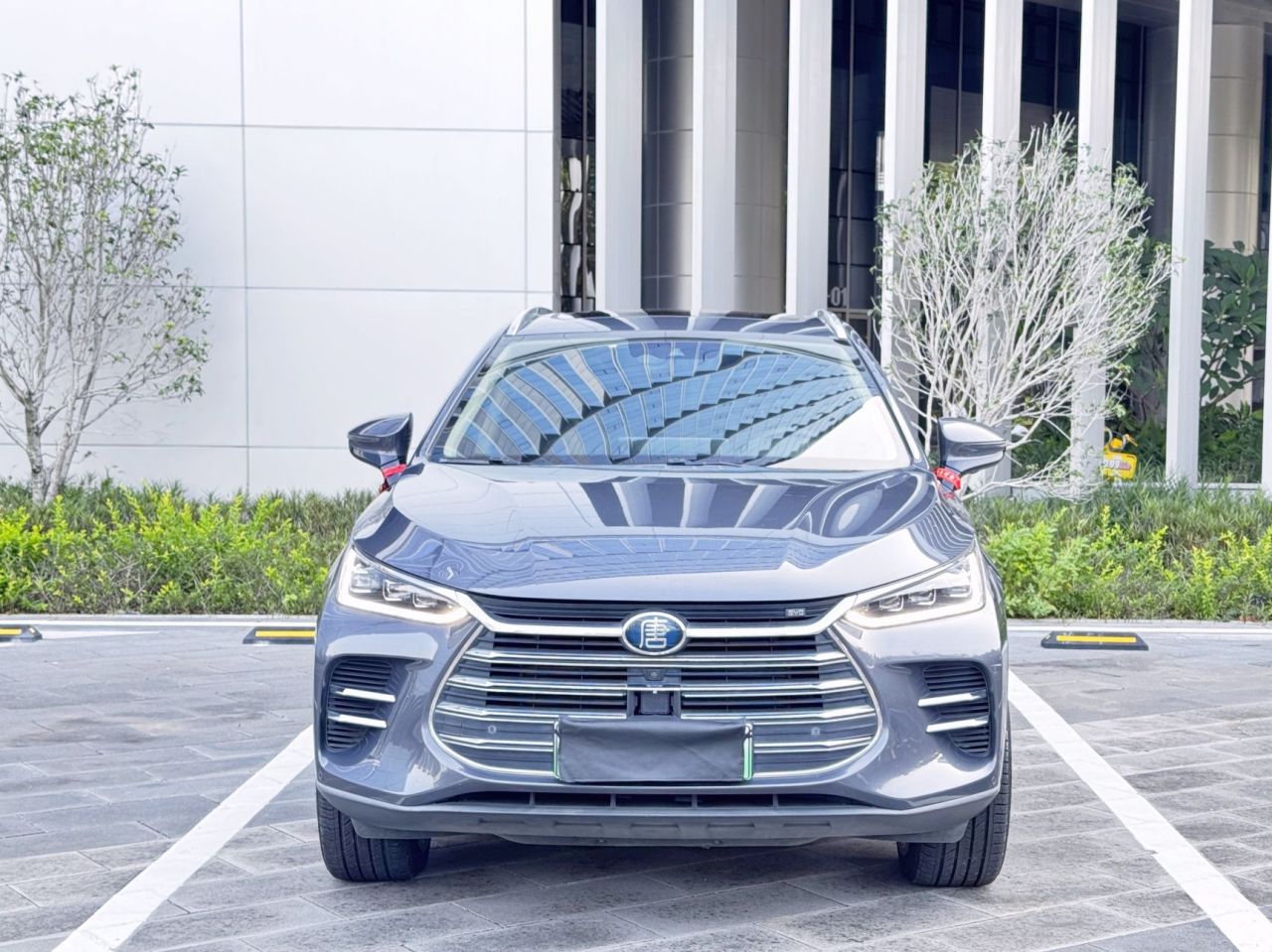 Tang EV 2019 DM 2.0T AWD Connected 7-Seater China VI photo 2