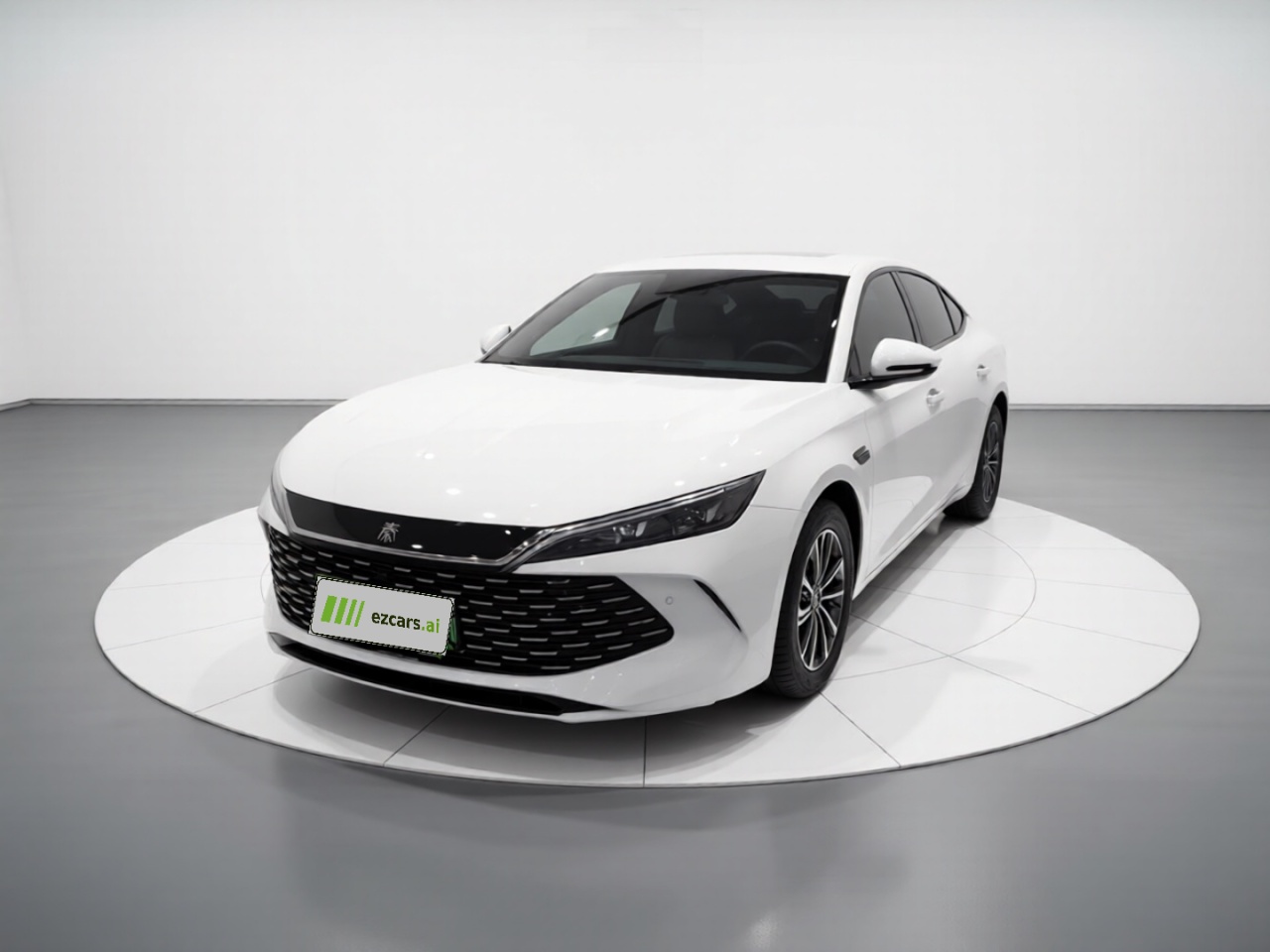 Qin L 2025 DM-i ADAS 80KM Leading