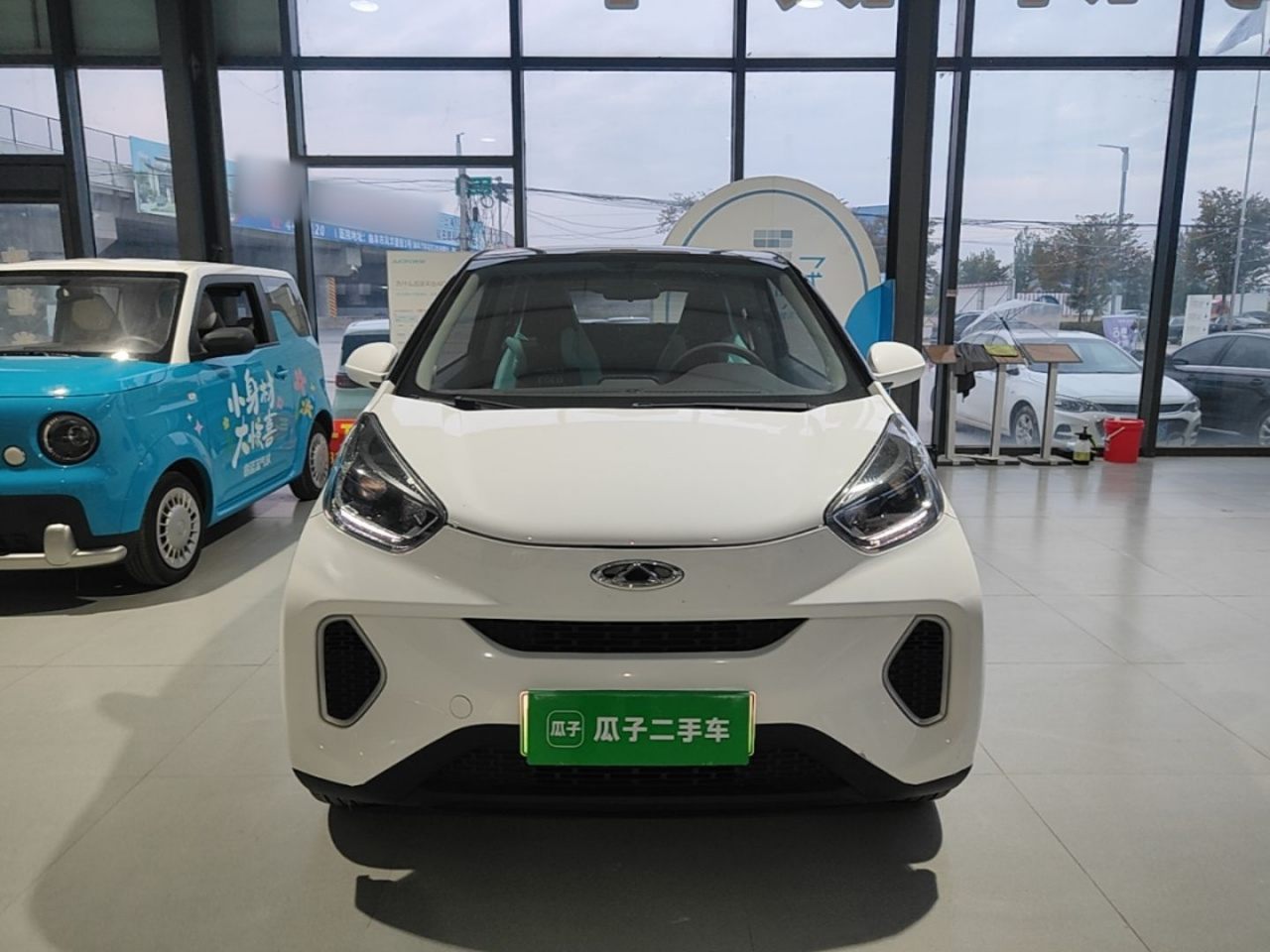 QQ Little Ant 2021 15 LFP photo 2