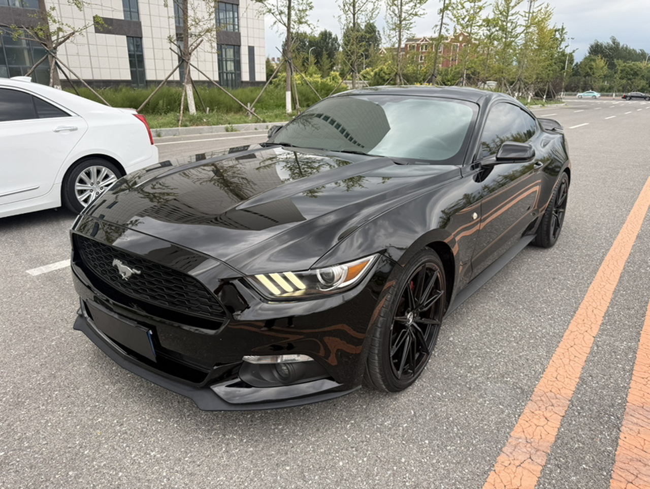 Mustang Parallel Import